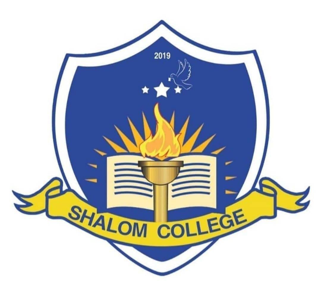 Logo 1